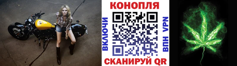 Купить закладку Шимановск Канабис  МЕТАДОН  Амфетамин  Гашиш  Меф мяу мяу 