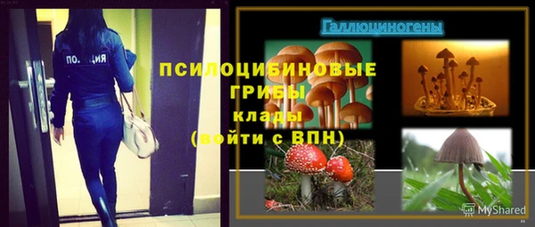 PSILOCYBIN Одинцово