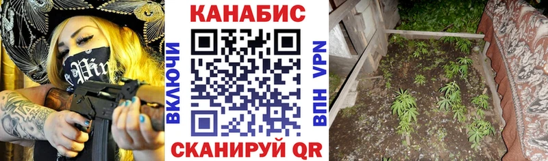 купить наркотик  Шимановск  Канабис SATIVA & INDICA 